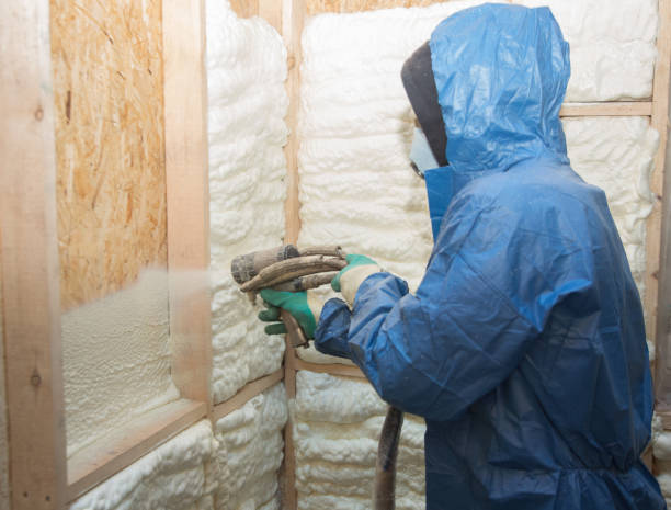 Best Vapor Barrier Installation  in Cheat Lake, WV